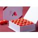 OSMIC FIRST �t���[�c�g�}�g PRINCESS 150g �w����s�� �������� �g�}�g �~�j�g�}�g �Ƃ܂� �Â� ��� ���x11�x �v�����Z�X �M�t�g ������ ���Y�Ғ��� �֘A�摜4