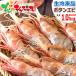  очень большой креветка Botan shrimp 1kg (BFL/ женский . держать /16-19 хвост ввод / сырой рефрижератор ) креветка море . подарок подарок подарок . праздник Hokkaido гурман бесплатная доставка ваш заказ 