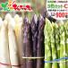 [ предварительный заказ ] Hokkaido производство aspala3 -цветный набор C 900g ( вместе ./3L размер ) очень толстый спаржа зеленый белый подарок подарок овощи Hokkaido гурман ваш заказ 