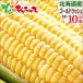 [ reservation ] Hokkaido production corn Gold Rush 10 pcs insertion .( refrigeration flight ) morning .. maize .. millet sweet corn Hokkaido gourmet free shipping your order 