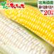 [ reservation ] Hokkaido production corn meal . comparing is possible to choose 20 pcs set ( refrigeration flight ) morning .. maize .. millet sweet corn Hokkaido gourmet free shipping your order 