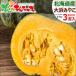 [ reservation ] Hokkaido production pumpkin large ....3 sphere entering (1 sphere 1.4kg) autumn pumpkin south . pumpkin Halloween Sapporo vegetable popular Hokkaido gourmet free shipping your order 