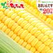 [ предварительный заказ ] кукуруза ..... 20шт.@( рефрижератор рейс ) Hokkaido производство утро .. кукуруза сладкий кукуруза юг тент блок Bright Farming Village сеть подарок бесплатная доставка ваш заказ 