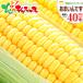[ reservation ] corn ..... 40ps.@( refrigeration flight ) Hokkaido production morning .. maize .. millet south canopy block Bright Farming Village network gift free shipping your order 