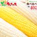 [ reservation ] corn meal . comparing 40ps.@( white 20ps.@* yellow 20ps.@/ refrigeration flight ) Hokkaido production morning .. corn .. millet south canopy block Bright Farming Village network free shipping your order 
