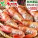  очень большой креветка Botan shrimp 500g (BFL/ женский . держать /8-10 хвост ввод / сырой рефрижератор ) сырой креветка море .. sashimi включение в покупку массовая закупка дом для для бытового использования Hokkaido гурман ваш заказ 