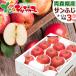 [ reservation ] Aomori prefecture production apple sun ..3kg ( preeminence goods /8 sphere ~12 sphere entering ). apple .. gift present . festival inside festival present fruit fruit Aomori prefecture your order 