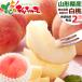 [ reservation ] Yamagata prefecture production white peach 2kg ( preeminence goods /5 sphere ~8 sphere entering / cool refrigeration flight ) summer gift Bon Festival gift hot middle see Mai . remainder hot see Mai . present Yamagata prefecture free shipping your order 
