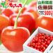 [ предварительный заказ ] Yamagata префектура производство вишня Sato .500g ( house культивирование / превосходящий товар /L размер /..../ несессер ввод ) 2026 первый лето подарок подарок праздник подарок фрукты ваш заказ 