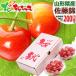 [ предварительный заказ ] Yamagata префектура производство вишня Sato .200g ( house культивирование / превосходящий товар /L размер / несессер ) 2026 первый лето подарок подарок праздник .. ответ подарок фрукты ваш заказ 