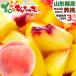 [ reservation ] Yamagata prefecture production . home use yellow peach 3kg ( less sack cultivation /8 sphere ~12 sphere entering / cool refrigeration flight ) with translation north. peach source . north limit. peach home for fruit direct delivery from producing area free shipping your order 