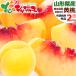 [ reservation ] Yamagata prefecture production yellow peach 2kg ( have sack cultivation / preeminence goods /5 sphere ~8 sphere entering / cool refrigeration flight ) north. peach source . north limit. peach summer gift remainder hot see Mai . Respect-for-the-Aged Day Holiday present free shipping your order 