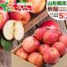 [ reservation ] Yamagata prefecture production . home use apple autumn .5kg ( with translation /13 sphere ~23 sphere entering ) autumn taste .... for .. with translation home for popular Yamagata prefecture direct delivery from producing area free shipping your order 