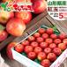 [ reservation ] Yamagata prefecture production . home use apple . sphere 5kg (. preeminence goods /18 sphere ~28 sphere entering ).. Aomori prefecture production production ground relay home for fruit Yamagata prefecture direct delivery from producing area free shipping your order 