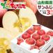  Aomori prefecture production apple sun ..3kg ( preeminence goods /8 sphere ~12 sphere entering ). apple .. gift present . festival inside festival present fruit fruit Yamagata prefecture direct delivery from producing area your order 