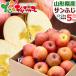  Aomori prefecture production . home use apple sun ..5kg ( with translation /13 sphere ~23 sphere entering / raw meal possible ). apple .. san .. with translation .. equipped fruit fruit your order 