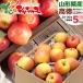 [ reservation ] Yamagata prefecture production . home use apple height virtue 5kg ( with translation /20 sphere ~30 sphere entering ). apple .... with translation .. equipped home for fruit fruit your order 