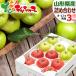 [ reservation ] Yamagata prefecture production apple sun ..&amp;.. assortment 3kg ( preeminence goods /8 sphere ~12 sphere entering ). apple gift present present. . fruit fruit your order 