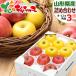[ reservation ] Yamagata prefecture production apple sun ..&amp;si nano Gold assortment 3kg ( preeminence goods /8 sphere ~12 sphere entering ). apple gift present. . fruit fruit your order 