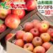 [ reservation ] Yamagata prefecture production . home use apple sun ...10kg ( with translation /26 sphere ~46 sphere entering / refrigeration flight ) Aomori prefecture production production ground relay fruit Yamagata prefecture direct delivery from producing area free shipping your order 