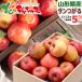 [ reservation ] Yamagata prefecture production . home use apple sun ...5kg ( with translation /13 sphere ~23 sphere entering / refrigeration flight ) Aomori prefecture production production ground relay fruit Yamagata prefecture direct delivery from producing area free shipping your order 
