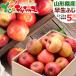 [ reservation ] Yamagata prefecture production . home use apple . raw ..5kg ( with translation /13 sphere ~23 sphere entering ).. Aomori prefecture production production ground relay .. equipped fruit direct delivery from producing area free shipping your order 