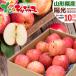 [ reservation ] Yamagata prefecture production . home use apple . light 10kg ( with translation /26 sphere ~46 sphere entering ) autumn taste . for .... home for popular fruit Yamagata prefecture direct delivery from producing area free shipping your order 