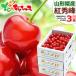  Yamagata prefecture production cherry . preeminence .1.8kg ( preeminence goods /L size /..../600g×3 box / vanity case entering / cool flight ).. ground Bon Festival gift gift present fruit Yamagata direct delivery from producing area your order 