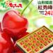  Yamagata prefecture production cherry . preeminence .( preeminence goods /2L size /1 box 24 bead entering / vanity case entering / cool flight ) hand .... ground Bon Festival gift gift present fruit Yamagata direct delivery from producing area your order 