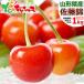  Yamagata prefecture production cherry Sato .1kg ( preeminence goods /2L size /..../500g×2p/ vanity case entering ).. ground Bon Festival gift gift present fruit fruit Yamagata direct delivery from producing area your order 