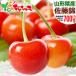 [ предварительный заказ ] Yamagata префектура производство вишня Sato .700g ( превосходящий товар /2L размер /..../ прохладный рефрижератор рейс ).. земля подарок подарок .. праздник внутри праздник . фрукты фрукты Yamagata ваш заказ 