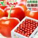  Yamagata prefecture production cherry Sato .700g ( cool flight / preeminence goods /L size / hand ../ vanity case entering ) hand .... ground Bon Festival gift gift present fruit fruit Yamagata direct delivery from producing area your order 