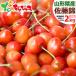  Yamagata prefecture production . home use cherry Sato .2kg ( with translation /L size /..../1kg×2 box ).. ground .. equipped home for home use profit large portion . Yamagata prefecture direct delivery from producing area your order 