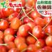  Yamagata prefecture production . home use cherry Sato .3kg ( with translation /M size /..../1kg×3 box ).. ground .. equipped home for home use profit large portion . Yamagata prefecture direct delivery from producing area your order 