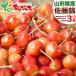 [ предварительный заказ ] Yamagata префектура производство . для бытового использования вишня Sato .700g×3 коробка ( есть перевод /M размер /..../ прохладный рефрижератор рейс ).. земля .. есть дом для для бытового использования Yamagata префектура ваш заказ 