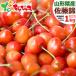 [ reservation ] Yamagata prefecture production with translation cherry Sato .1kg (L size /....). ground .. equipped 1.0kg home use home for Yamagata prefecture direct delivery from producing area free shipping your order 