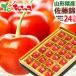  Yamagata prefecture production cherry Sato .( cool flight / preeminence goods /2L size /1 box 24 bead entering / vanity case entering ) hand .... ground Bon Festival gift gift present fruit fruit Yamagata direct delivery from producing area your order 