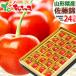  Yamagata prefecture production cherry Sato .( cool flight / preeminence goods /L size /1 box 24 bead entering / vanity case entering ) hand .... ground Bon Festival gift gift present fruit fruit Yamagata direct delivery from producing area your order 