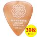 MASTER 8 JAPAN �e�B�A�h���b�v �s�b�N IFU-TD088 0.88mm�~30���Z�b�g INFINIX-U Hard Grip TEARDROP