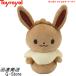 �����|�P �}�C�~���N �C�[�u�C No.6069 �g�C���[���� Toyroyal