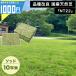 [ обычный рейс отгрузка ] NITTOSEKKO высококлассный натуральный газонная трава NT22 roll 10 flat рис минут натуральный газонная трава . управление Goryeo газонная трава улучшение Goryeo газонная трава газонная трава сырой газонная трава товар вид улучшение местного производства 