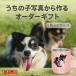 ������ �ʐ^���� ���O����  �^���u���[ �ʐ^������ �v�����g �y�b�g  �I�[�_�[�M�t�g 280ml 360ml �T�[���X �^��f�M �}�O�J�b�v JDH UVPH01 ���