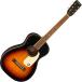 GRETSCH Jim Dandy, Walnut Fingerboard, White Pickguard, Rex Burst( Gretsch )