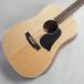 Singer D01 акустическая гитара ( певец )