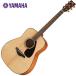 YAMAHA/FG800 ƥå ʥ(NT)ڥޥϡ