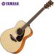 YAMAHA FS800 �i�`������ NT �A�R�[�X�e�B�b�N�M�^�[ ���}�n