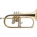 J.Michael/�t�����[�Q���z���� FG-500�qJ�}�C�P���r
