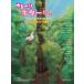  музыкальное сопровождение ..~. гитара настроение / Studio Ghibli сборник ( модифицировано . версия )(3855/.... впервые . Solo * гитара )