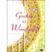  музыкальное сопровождение гитара. замечательный Ogawa мир . гитара * Solo * коллекция CD есть [ кошка pohs. бесплатная доставка ]