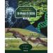  наука вид живое существо обобщенный материалы новый . версия 